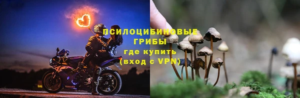 бутират Дмитровск