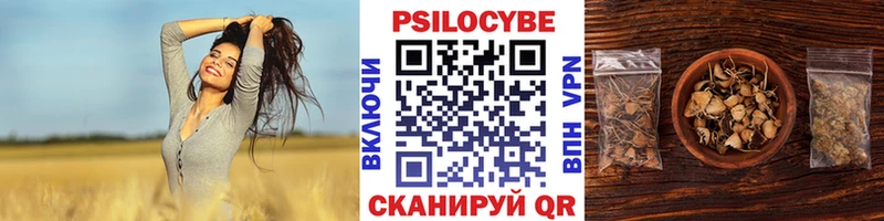 Купить где  Выборг  Галлюциногенные грибы GOLDEN TEACHER 